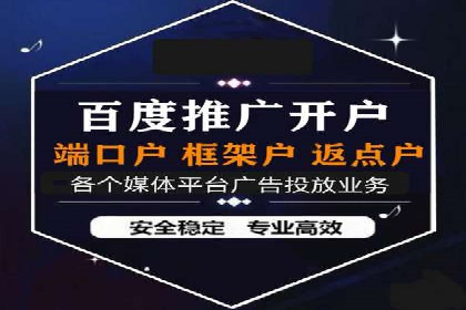 谷歌竞价广告与SEO结合的营销案例解析